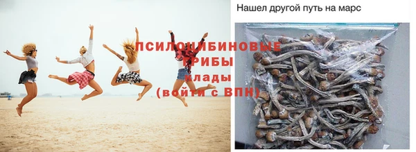 эйфоретик Козловка